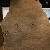 2013-07-07 16.03.38  Dinosaur tracks